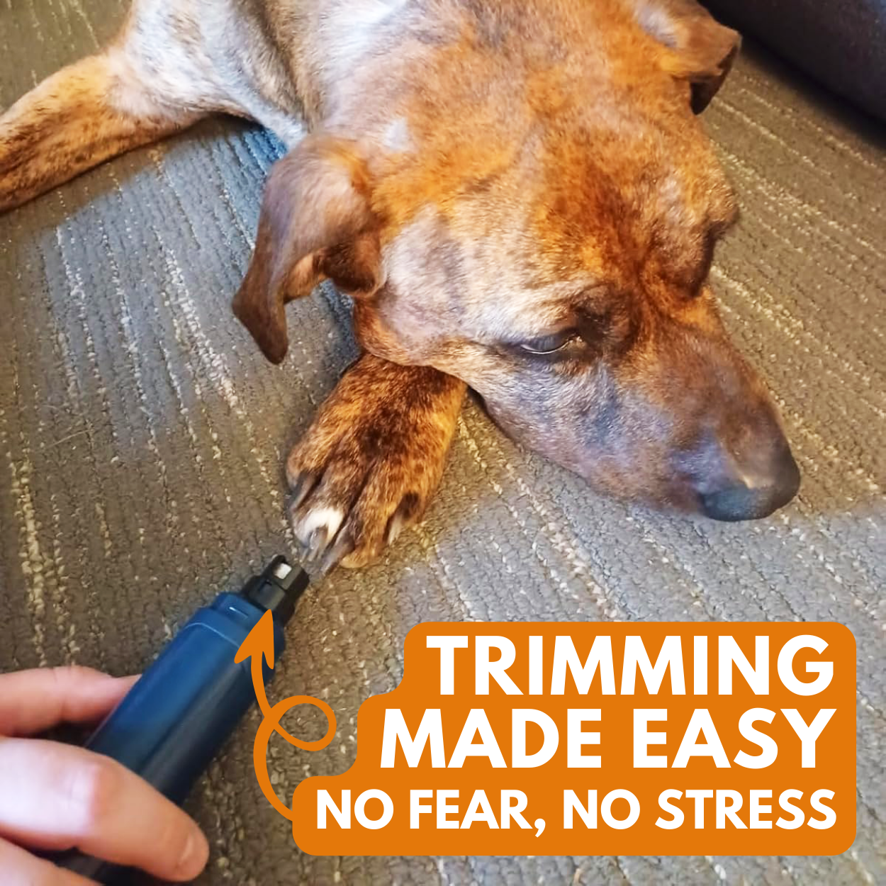 The Original PetGRINDX™ Painless Pet Nail Grinder