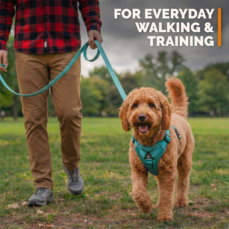 Swift Tail No-Pull Pet Harness & Leash Set - For Small/Medium Pets